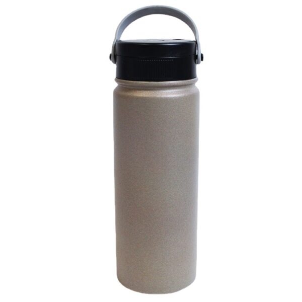 UV Sterilization Vacuum Bottle